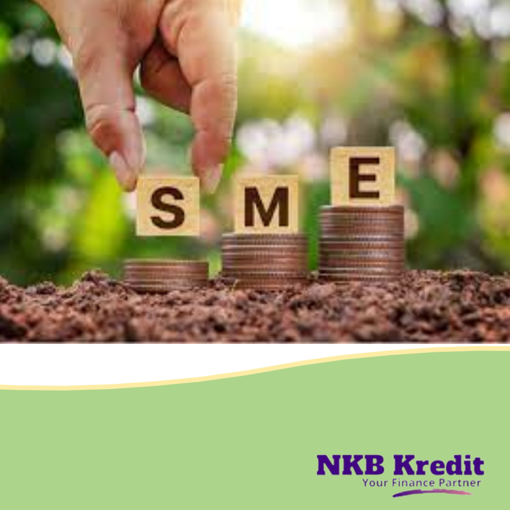 sme loan in india